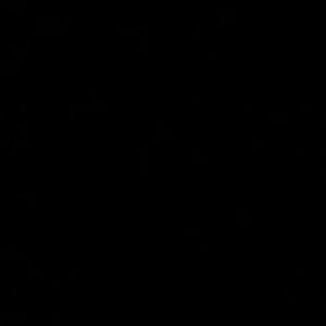 Meet your Posher, Stella